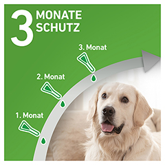 FRONTLINE Combo Spot on Hund L Lsg.z.Auft.a.Haut 3 Stck - Info 3
