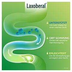 Laxoberal Tropfen 15ml: Abführmittel bei Verstopfung 15 Milliliter N1 - Info 3
