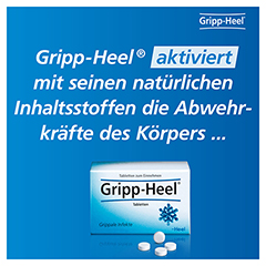 Gripp-Heel 250 Stück N2 - Info 3
