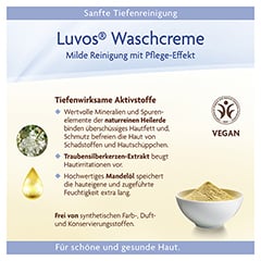 Luvos Naturkosmetik mit Heilerde Waschcreme 100 Milliliter - Info 3