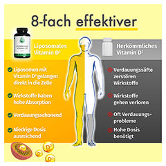 GREEN NATURALS Vitamin D3 liposomal hochdos.Kaps. 120 Stck - Info 4