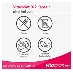Vitasprint B12 20 Stück - Info 4