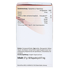 MANTRA Q10 Premium 50 mg Kapseln 60 Stck - Rechte Seite