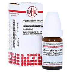 CALCIUM SILICICUM C 200 Globuli 10 Gramm N1