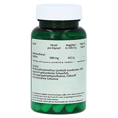 MSM 500 mg Kapseln 60 Stck - Rechte Seite