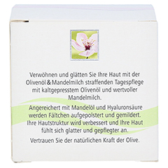 medipharma Olivenöl & Mandelmilch Straffende Tagespflege 50 Milliliter - Rückseite