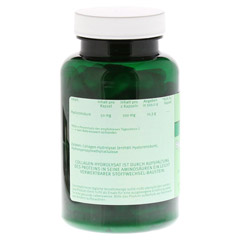 HYALURONSURE 50 mg Kapseln 120 Stck - Rckseite