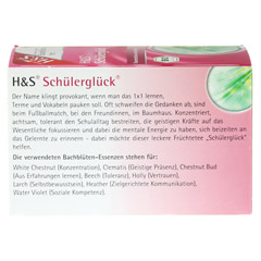 H&S Bachblüten Schülerglück-Tee Filterbeutel 20x3.0 Gramm - Rückseite