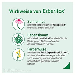 Esberitox 60 Stck - Info 4