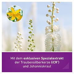 Remifemin plus Johanniskraut 100 Stck - Info 4
