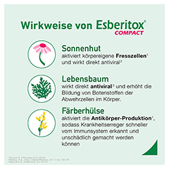 Esberitox COMPACT 60 Stück - Info 4