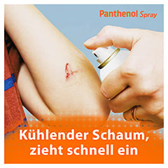Panthenol Spray fördert die Wundheilung der Haut 130 Gramm - Info 5