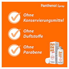 Panthenol Spray fördert die Wundheilung der Haut 130 Gramm - Info 6