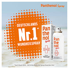 Panthenol Spray fördert die Wundheilung der Haut 130 Gramm - Info 7