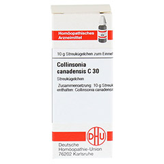 COLLINSONIA CANADENSIS C 30 Globuli 10 Gramm N1 - Vorderseite