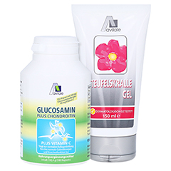 Avitale Glucosamin 500 mg + Chondroitin 400 mg + gratis Teufelskrallen Gel 180 Stück
