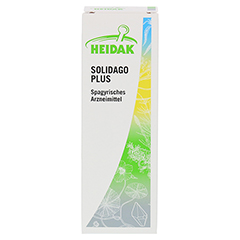 HEIDAK Solidago plus Spray 50 Milliliter N1 - Vorderseite