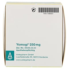 Yomogi 250mg 5 Billionen Zellen 100 Stück - Unterseite