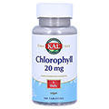 CHLOROPHYLL Tabletten 100 Stck