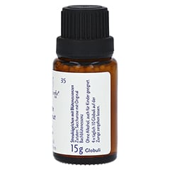 BACHBLTEN White Chestnut Globuli Healing Herbs 15 Gramm - Linke Seite