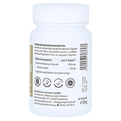 LUTEIN 20 mg Kapseln mikroverkapselt 60 Stck - Rechte Seite
