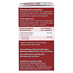 OPC Nativ Kapseln 192 mg reines OPC 60 Stück - Rechte Seite