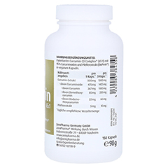 CURCUMIN TRIPLEX 500 mg Kapseln 150 Stück - Rechte Seite