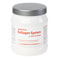 AMITAMIN Collagen System Pulver 360 Gramm