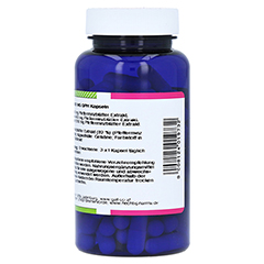 PFEFFERMINZ 450 mg GPH Kapseln 90 Stck - Rechte Seite