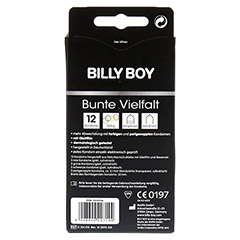 BILLY BOY bunte Vielfalt 12 Stück - Rückseite