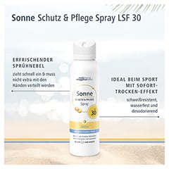 SONNE SCHUTZ & Pflege Aktiv Aerosol-Spray LSF 30 150 Milliliter - Info 2