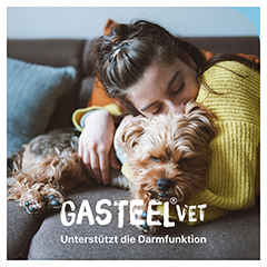 GASTEEL Dit-Erg.Futterm.Kapseln f.Hunde/Katzen 50 Stck - Info 1