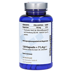MAGNESIUMOROTAT 500 mg Kapseln 120 Stck - Linke Seite