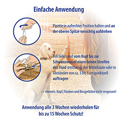 REDISAN Spot-on gegen Zecken+Flhe f.Hunde 2-20 kg 5x2.5 Milliliter - Info 5