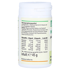 MAGNESIUM 375 mg+B-Vitamine Kapseln 60 Stck - Rechte Seite