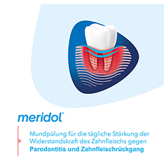 MERIDOL Parodont-Expert Mundsplung 400 Milliliter - Info 1
