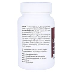 L-Carnosin 500 mg Kapseln 60 Stück - Rechte Seite