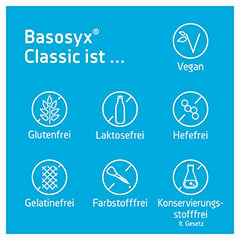 Basosyx Classic Syxyl 140 Stck - Info 2