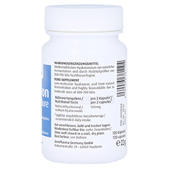 Hyaluronsure 50 mg Caps 120 Stck - Linke Seite