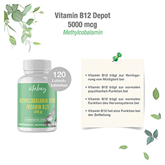 METHYLCOBALAMIN Vit.B12 Depot 5000 g vegan Lut. 120 Stck - Info 2