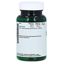 FENCHEL 500 mg Extrakt Kapseln 60 Stck - Rechte Seite
