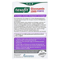 TAXOFIT Glucosamin 1500 FORTE Tabletten 30 Stück - Rückseite
