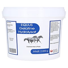GELATINE HYDROLYSAT Equus Pulver vet. 2000 Gramm
