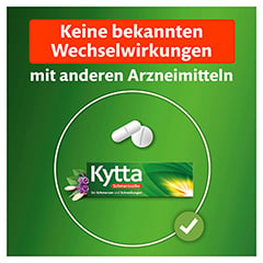 Kytta-Schmerzsalbe 50 Gramm N1 - Info 6