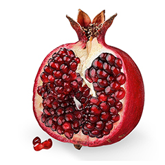 Dr.Jacob's Basen-Riegel Granatapfel Frucht Protein B12 vegan 45 Gramm - Info 4
