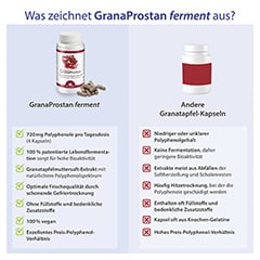 Dr. Jacob's GranaProstan Granatapfelsaft-Extrakt fermentiert 100 Stck - Info 4