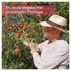 Dr.Jacob's Granatapfel Weihrauch Gesichtscreme Naturkosmetik 50 Milliliter - Info 5