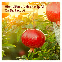 Dr. Jacob's Granatapfel-Elixier mediterran hochkonzentriert 500 Milliliter - Info 6