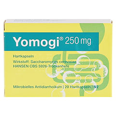 Yomogi 250mg 5 Billionen Zellen 20 Stück N2 - Vorderseite