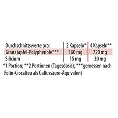 Dr. Jacob's GranaProstan Granatapfelsaft-Extrakt fermentiert 100 Stck - Info 9